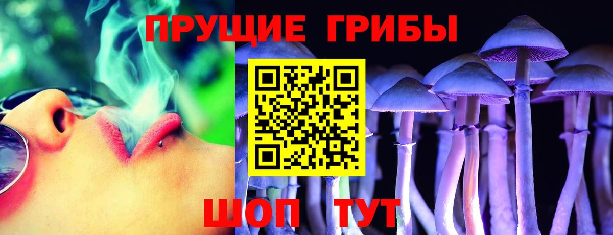 Галлюциногенные грибы ЛСД  Вход с VPN  Кропоткин  Галлюциногенные грибы прущие грибы 